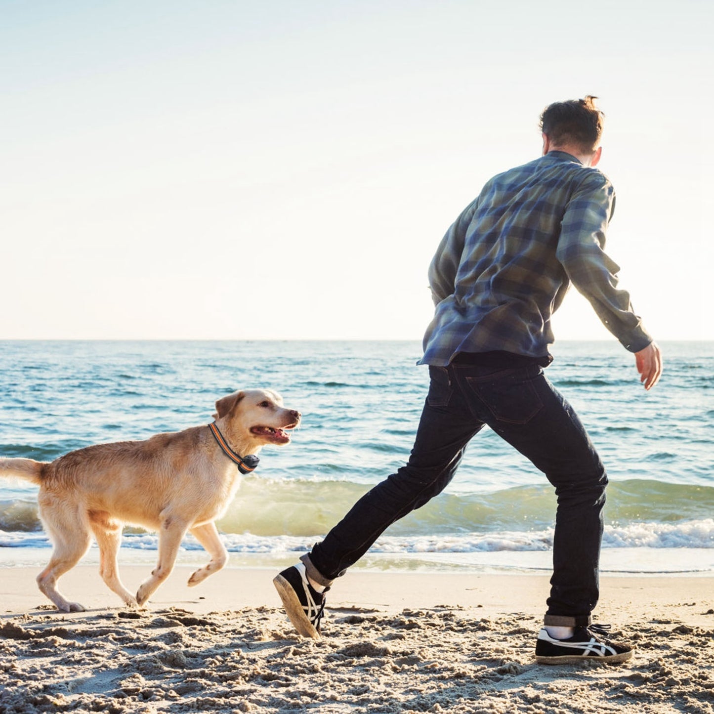 AdoraPet FreedomTrack™ – 2-in-1 GPS Dog Fence & Real-Time Tracker | Waterproof, Wireless & Travel-Ready