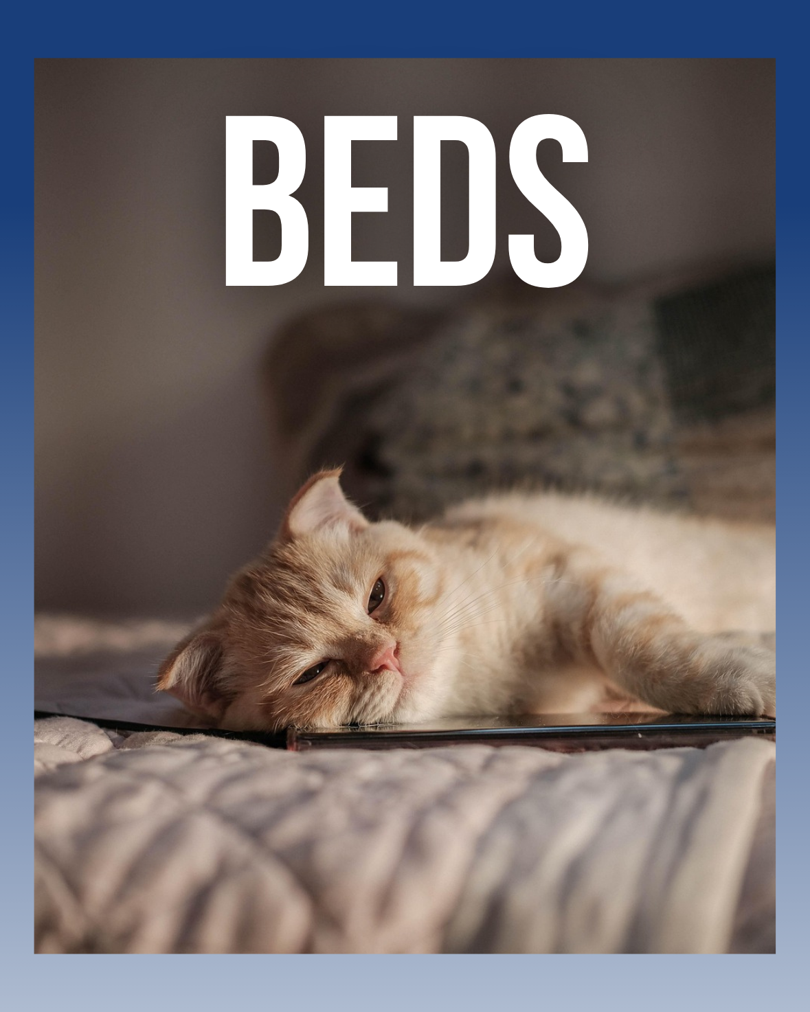 Beds & Furniture - AdoraPet