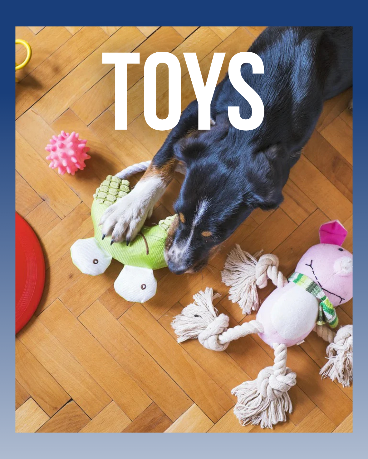 Toys & Play - AdoraPet