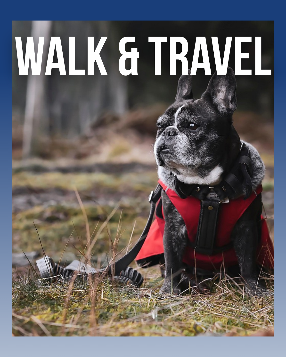 Walk & Travel - AdoraPet