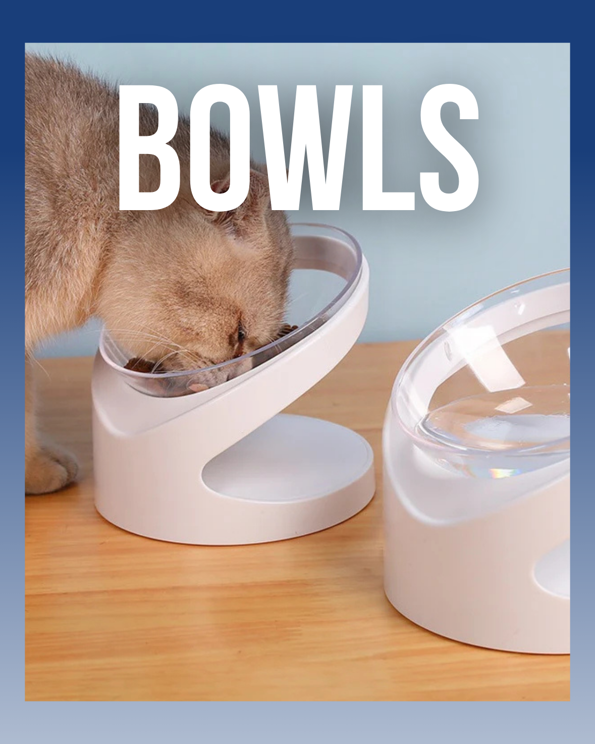 Bowls & Feeding - AdoraPet