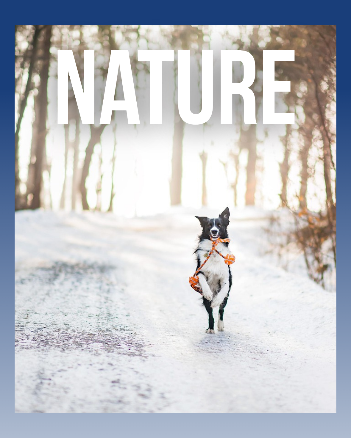 Outdoor & Nature - AdoraPet
