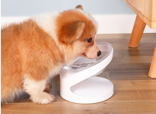 AdoraPet Tilt-Top™ Cat Bowl – Ergonomic Angled Dish for Happy Necks & Cleaner Meals