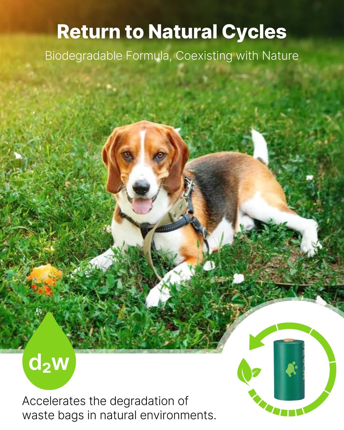 AdoraPet Woof Bags
