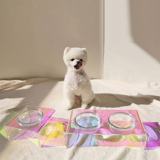 AdoraPet PrismBowl™ – Holographic Acrylic Pet Feeder with Glass Bowl