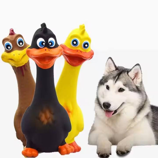 AdoraPet Quirky Quacks™ – 3-Pack Eco Squeaky Dog Toys
